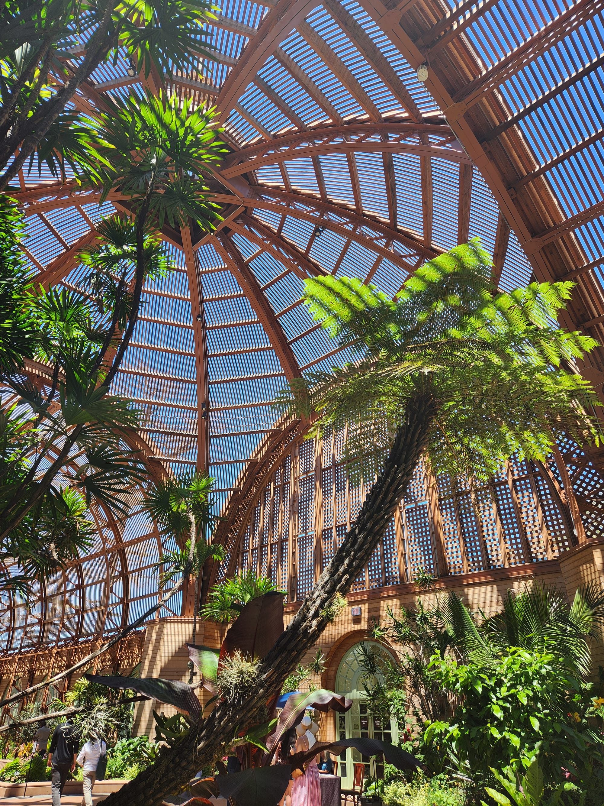 Wednesday's visit to Balboa Park's Botanical Building