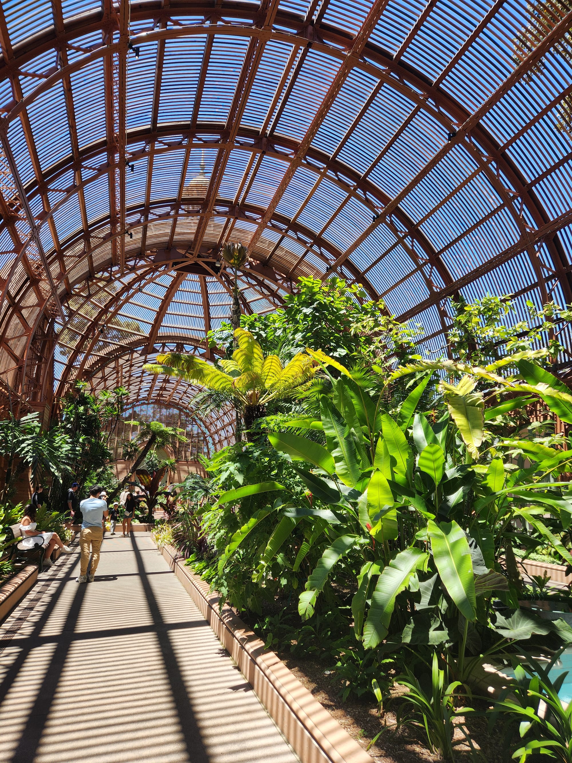 Wednesday's visit to Balboa Park's Botanical Building